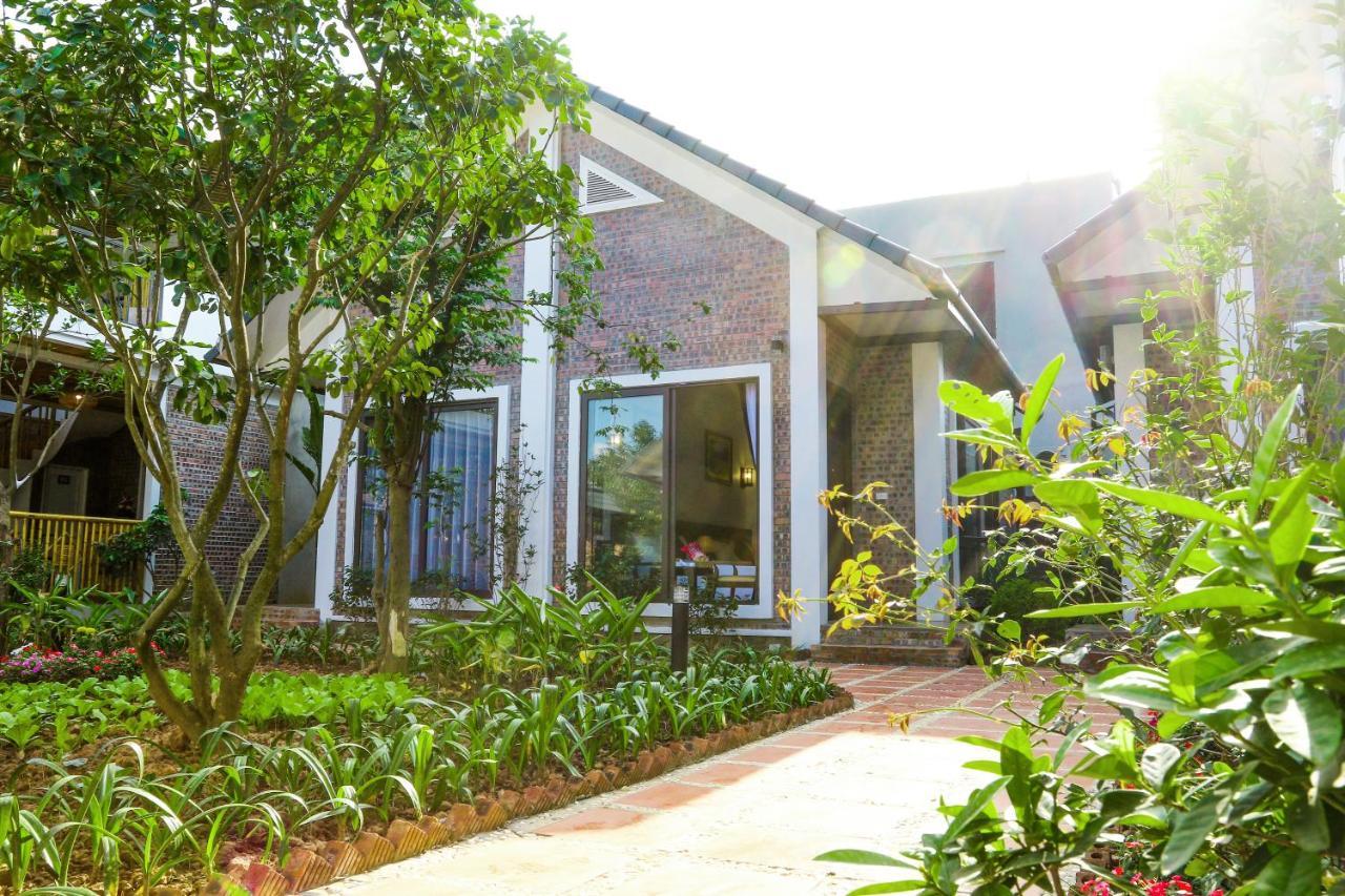Tam Coc Golden Rice Hotel Ninh Binh Exterior photo